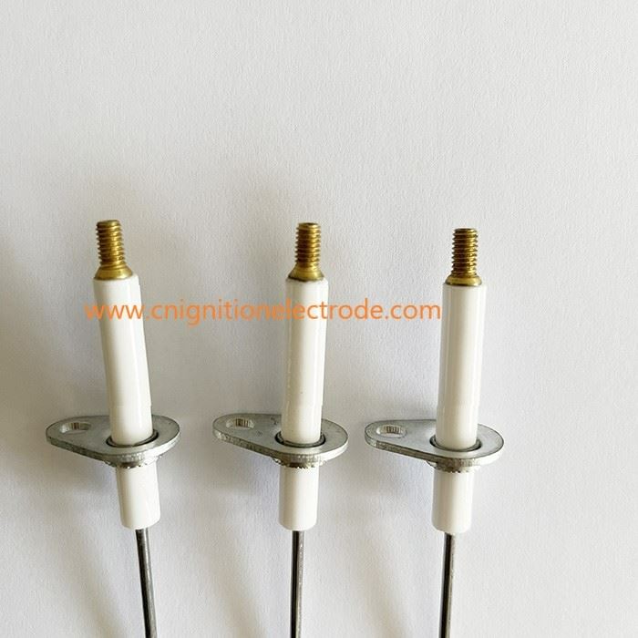Ignition Electrode With Holder